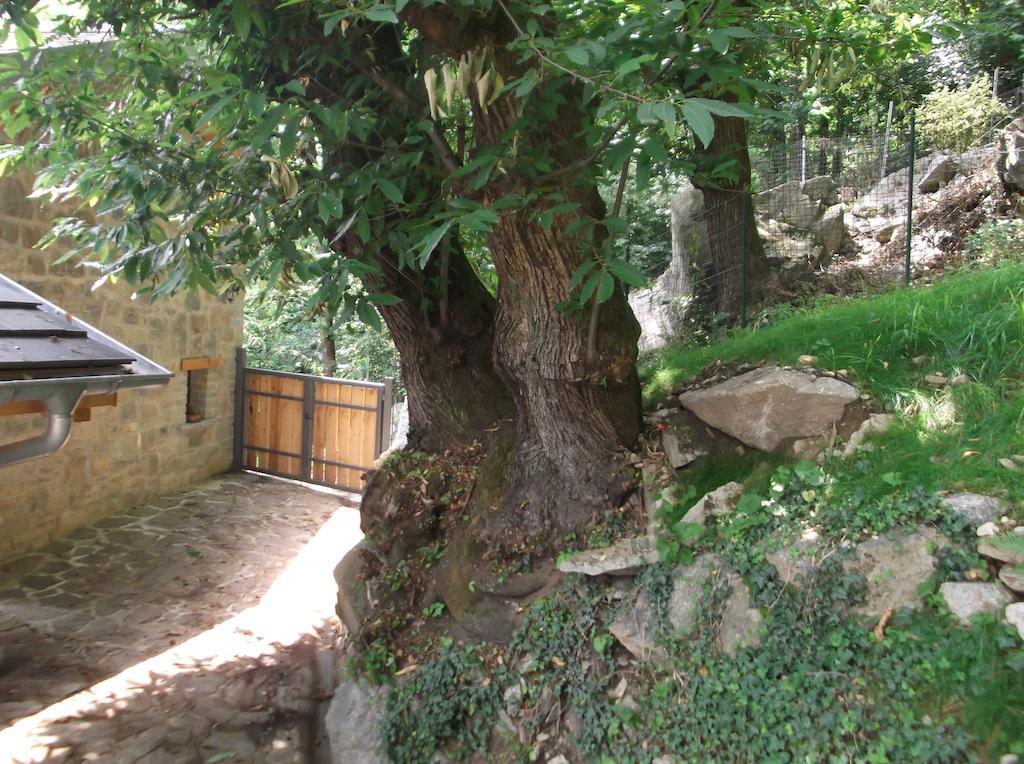 Agriturismo Ai Ronchi Sorico Exterior foto